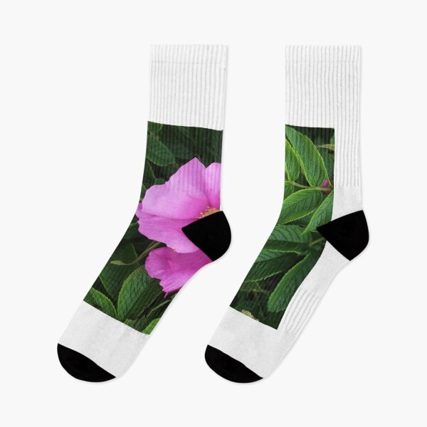 Item preview, Wild Rose designed and sold by Melissa Glabay.