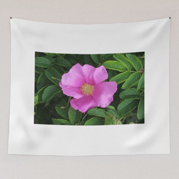 Item preview, Wild Rose designed and sold by Melissa Glabay.