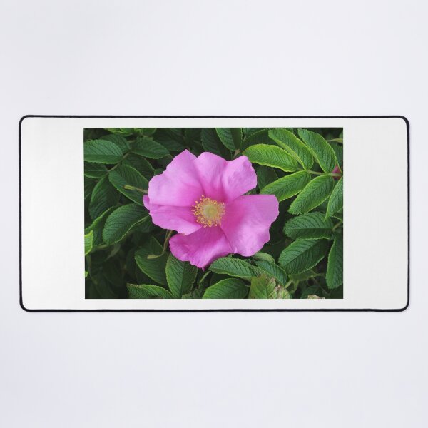 Item preview, Wild Rose designed and sold by Melissa Glabay.