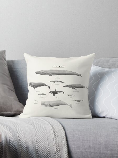 Artikel-Vorschau von Cetacea, designt und verkauft von samlyneill.