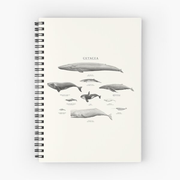Item preview, Cetacea designed and sold by samlyneill.