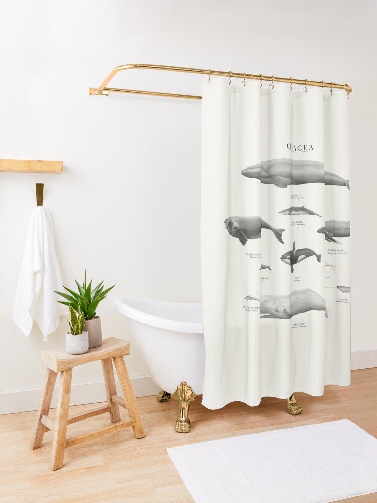 Alternate view of Cetacea Shower Curtain