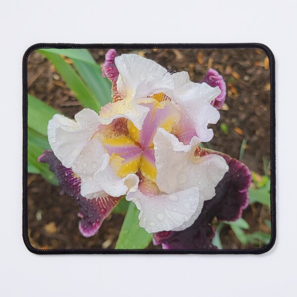 Item preview, Purple Iris From Above designed and sold by Twittlefish.
