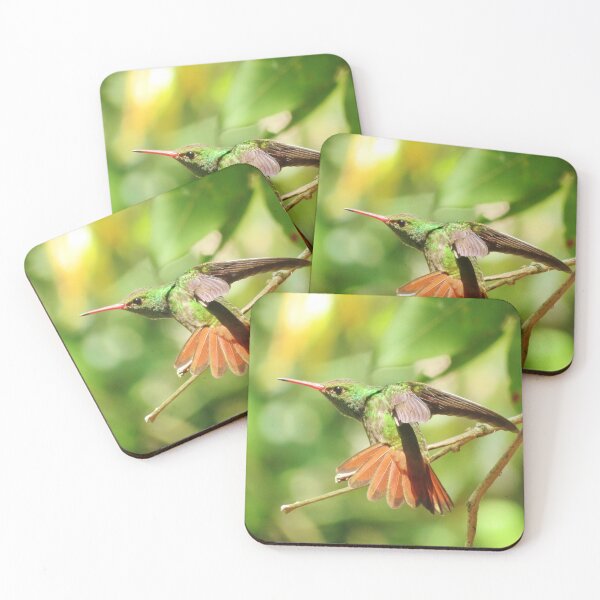 Item preview, Photo of Colibrí designed and sold by Lacambalam.