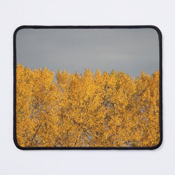 Item preview, Golden Poplar Leaves in Autumn designed and sold by Imladris01.