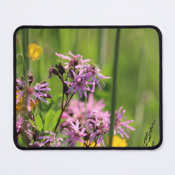 Item preview, Beautiful Ragged Robin Flowers in a summer meadow. designed and sold by Imladris01.