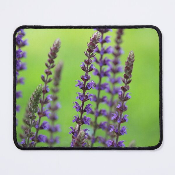 Item preview, Lovely Purple Flower Spikes of Balkan Clary. designed and sold by Imladris01.