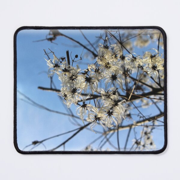 Item preview, Fluffy White Clematis in Winter with Blue Sky designed and sold by Imladris01.