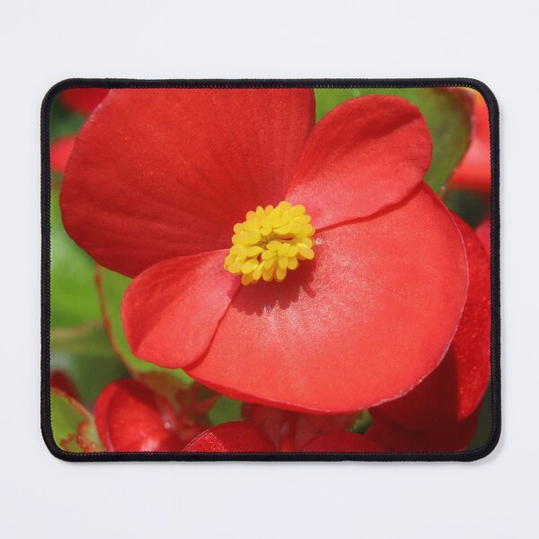 Item preview, Red Begonia designed and sold by Imladris01.