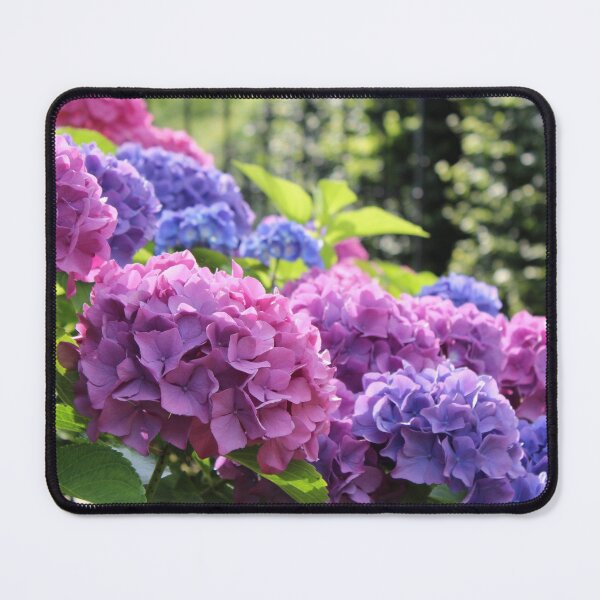 Item preview, Romantic Pink and Blue Hydrangea Flowers designed and sold by Imladris01.