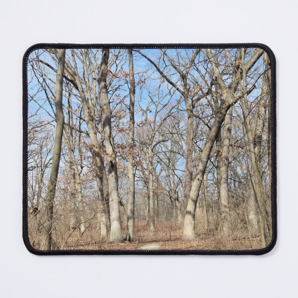 Item preview, Footpath in the Woods designed and sold by Kathleen Brant.