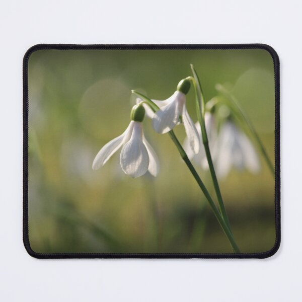 Item preview, Pure White Snowdrops in Spring designed and sold by Imladris01.