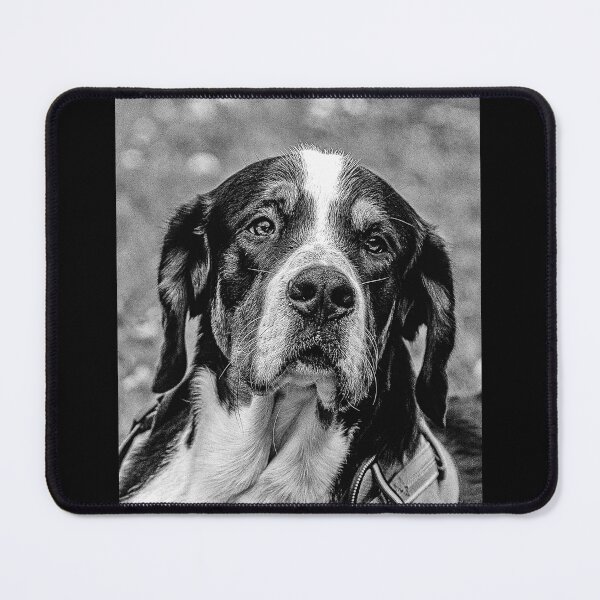 Item preview, Bernese Mountain Dog designed and sold by david parry.