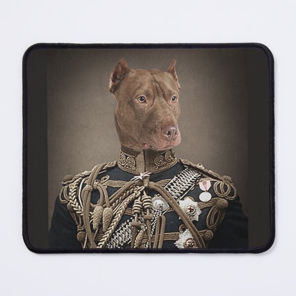 Item preview, Portrait of a purebred American Pit Bull Terrier dog designed and sold by david parry.