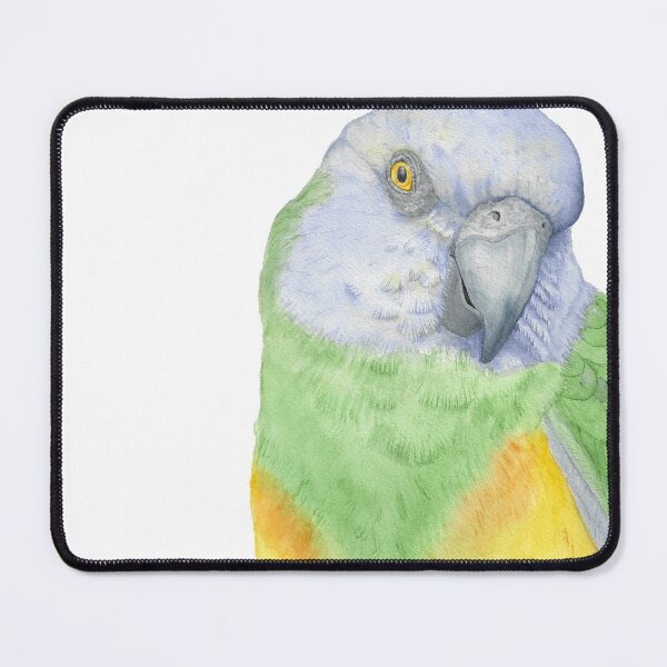 Item preview, watercolor senegal parrot portrait - parrot painting designed and sold by L'Atelier Oranjade.