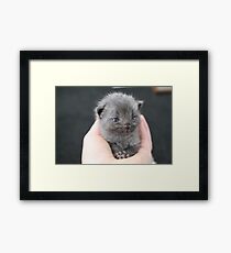 Cover Framed Print