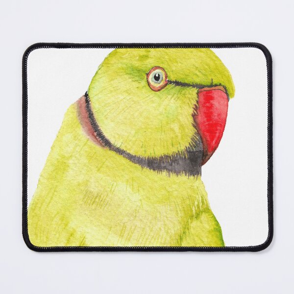 Item preview, yellow Rose-ringed parakeet or ring-necked parrots watercolor - bird painting designed and sold by L'Atelier Oranjade.