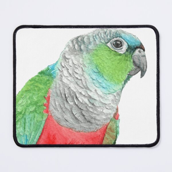Item preview, Crimson-bellied parakeet watercolor - conure painting bird portrait designed and sold by L'Atelier Oranjade.