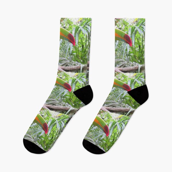 Item preview, Foto de Tucan designed and sold by Lacambalam.