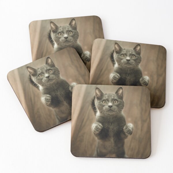 Item preview, cat lover designed and sold by Sons-of-trance.