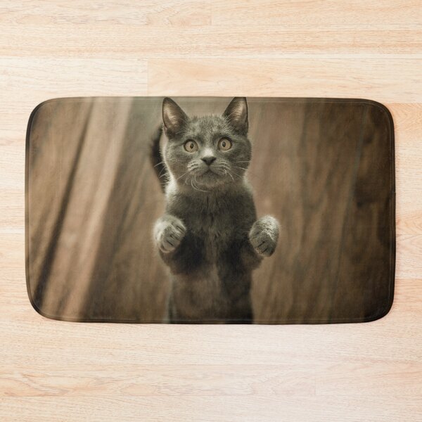 Item preview, cat lover designed and sold by Sons-of-trance.