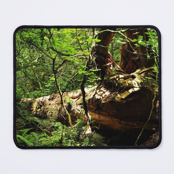 Item preview, Fallen Tree with Roots designed and sold by GoodVibesOcean.