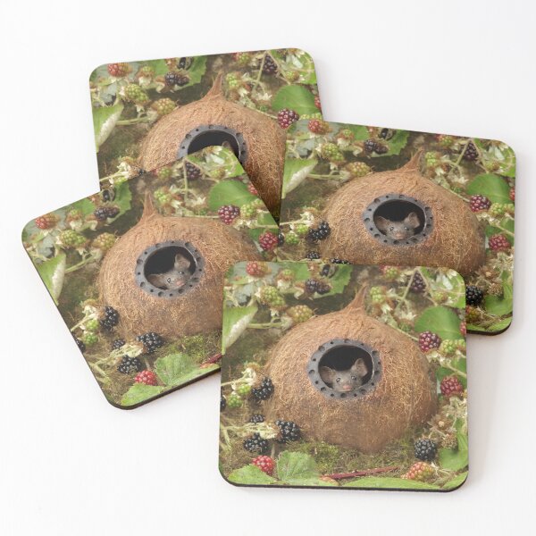Item preview, Little mouse in a coconut shell house by the Brambles  designed and sold by Simon-dell.