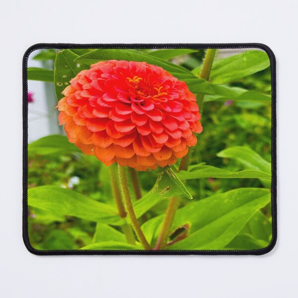 Item preview, Vibrant shades of Pink designed and sold by Only4sometimes.