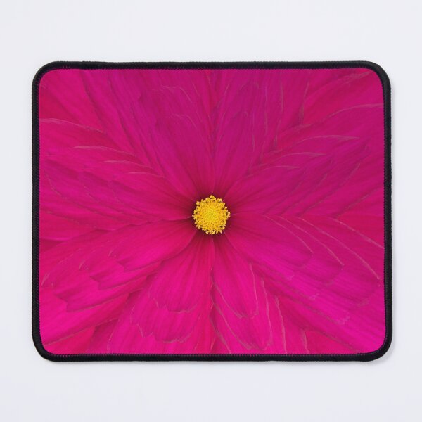 Item preview, Pink Cosmos Flower Still Life Floral Photography designed and sold by CottoVerdi.