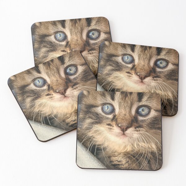 Item preview, Tabby kitten designed and sold by Fluffycat2020.