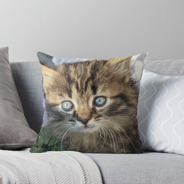 Item preview, Tabby kitten designed and sold by Fluffycat2020.