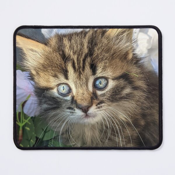 Item preview, Tabby kitten designed and sold by Fluffycat2020.