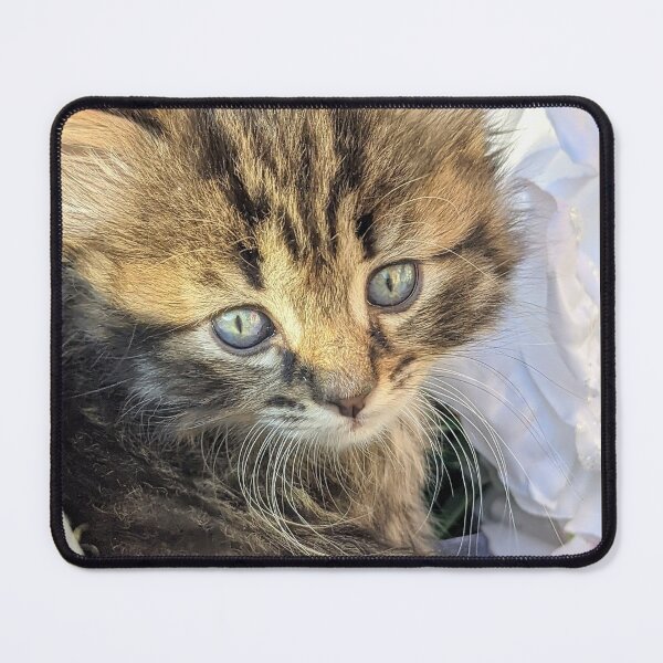Item preview, Tabby kitten designed and sold by Fluffycat2020.