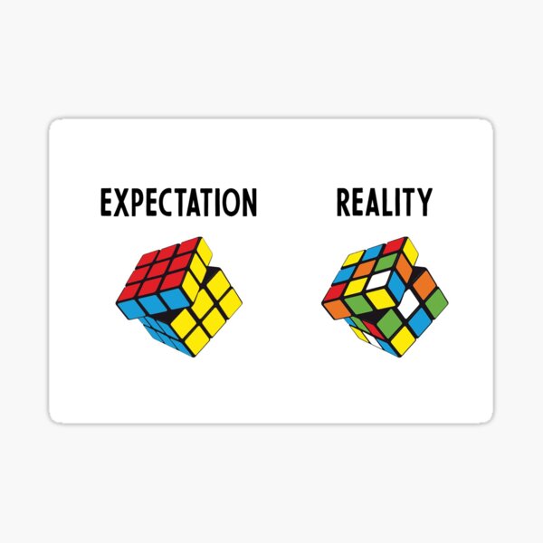 Expectation V Reality Sticker