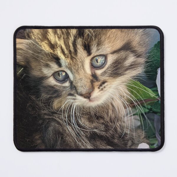 Item preview, Tabby kitten designed and sold by Fluffycat2020.