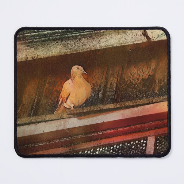 Item preview, Greek pigeon - tranquil photo design designed and sold by kikidu21.