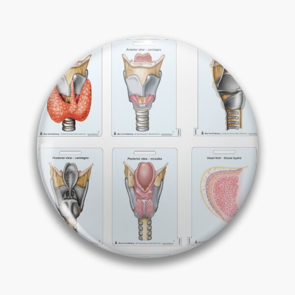 Item preview, SLP  Larynx Fun designed and sold by BlueTreePublish.