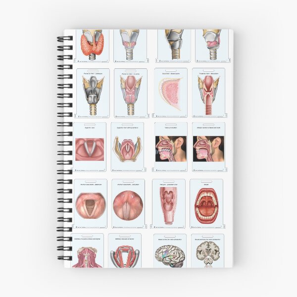 Item preview, SLP  Larynx Fun designed and sold by BlueTreePublish.