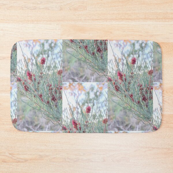 Item preview, Allocasuarina humilis designed and sold by LCNNativePlants.