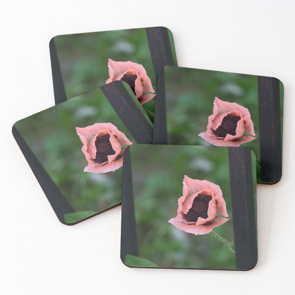 Item preview, Pink Poppy with Wrought Iron Rail designed and sold by Vivar Photo.