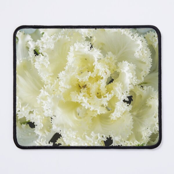 Cabbage close-up photo Mouse Pad