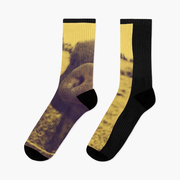 Item preview, A Black Piglet On a Straw Field designed and sold by Voyshop.
