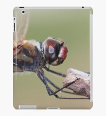 Dragonfly Macro iPad Case/Skin