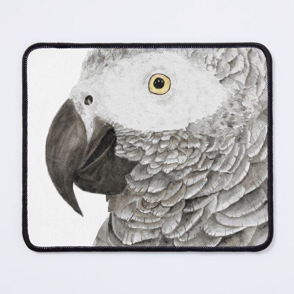 Item preview, Grey parrot congo african timneh old word bird watercolor designed and sold by L'Atelier Oranjade.