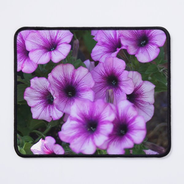 Item preview, Purple Petunia Bouquet designed and sold by Vivar Photo.