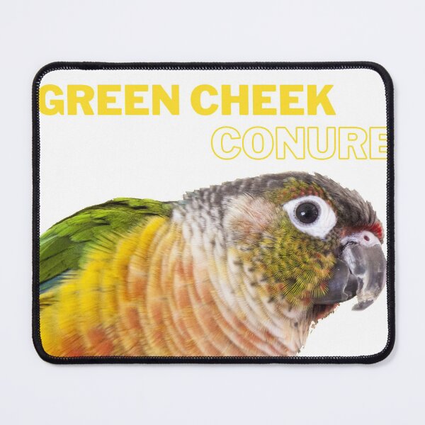 Item preview, green cheeck conure parrot lover quote designed and sold by L'Atelier Oranjade.