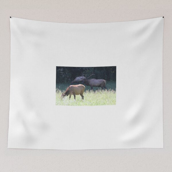 Item preview, Smokey Mountains Gatlinburg Tennessee designed and sold by ridthestigma.