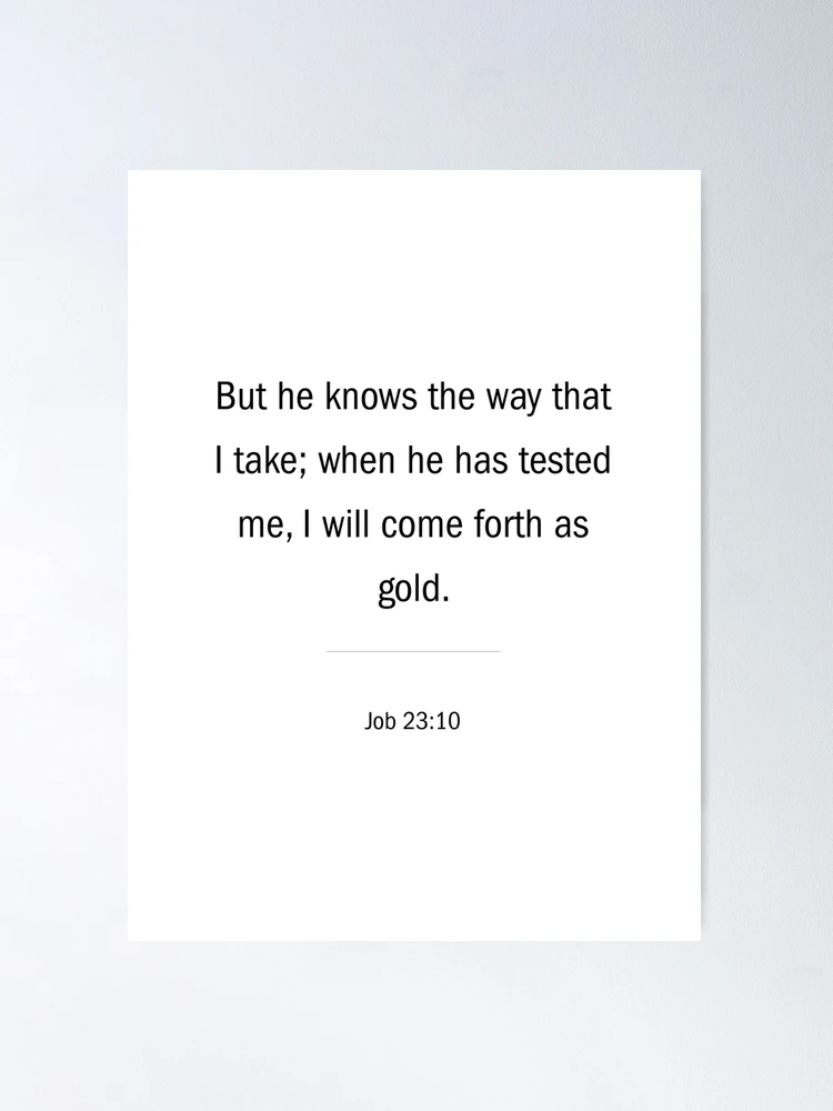 He Knows The Way {Poster}