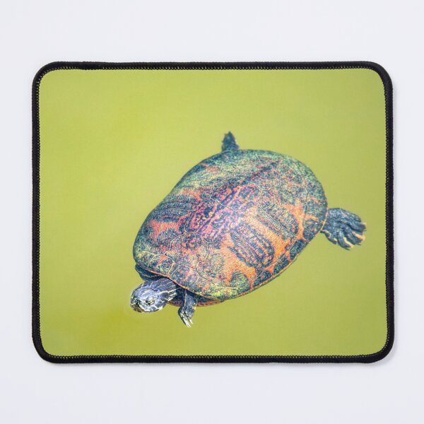 Item preview, Arizona Water Turtle designed and sold by Elisabeth Lucas.