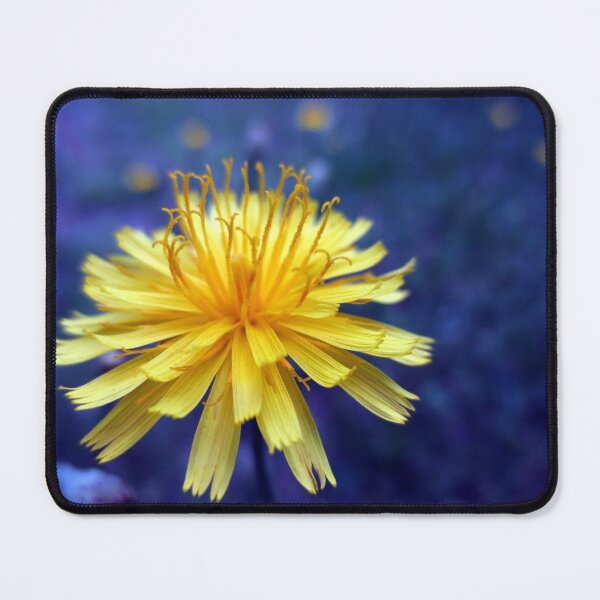 Item preview, Sun on a rainy day designed and sold by Nathan Gruber.